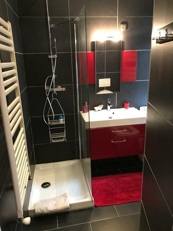 La Perle De La Vieille Ville D'Annecy Apartment ภายนอก รูปภาพ
